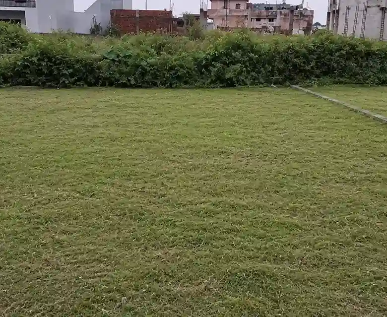 780